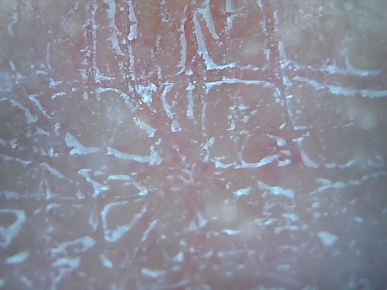 <html>
<head><title>502BadGateway</title></head>
<body>
<center><h1>502BadGateway</h1></center>
<hr><center>nginx</center>
</body>
</html>
<!--apaddingtodisableMSIEandChromefriendlyerrorpage-->
<!--apaddingtodisableMSIEandChromefriendlyerrorpage-->
<!--apaddingtodisableMSIEandChromefriendlyerrorpage-->
<!--apaddingtodisableMSIEandChromefriendlyerrorpage-->
<!--apaddingtodisableMSIEandChromefriendlyerrorpage-->
<!--apaddingtodisableMSIEandChromefriendlyerrorpage-->
