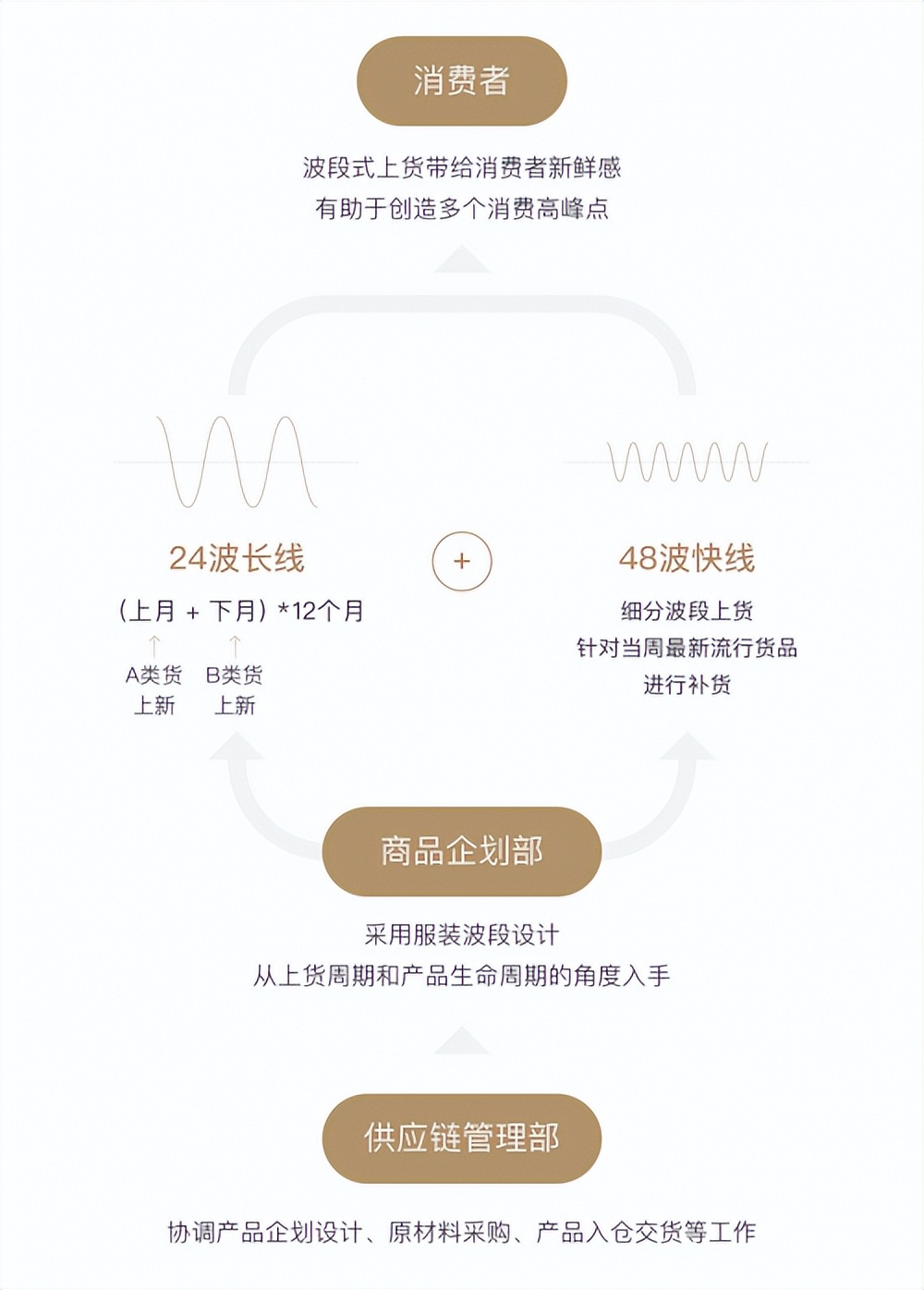 女装供应链上下游对接,女装供应链探秘