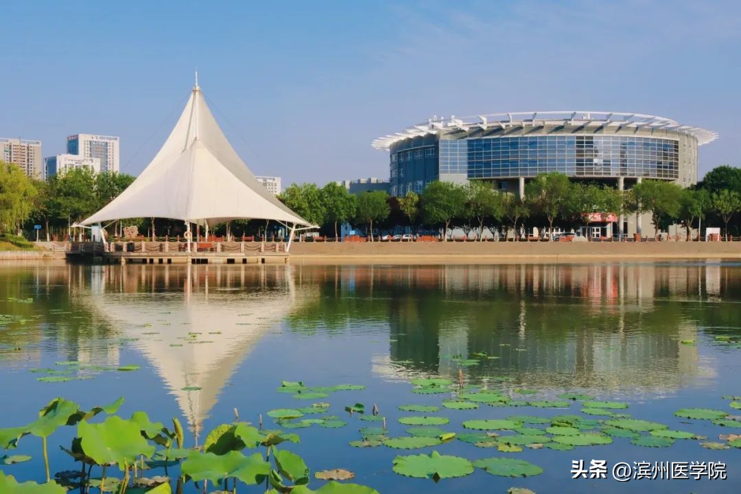 滨州医学院2023年本科招生计划,2020年滨州医学院招生计划一览表