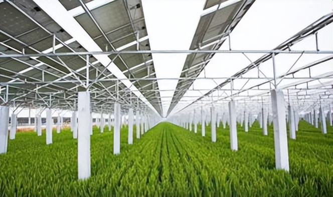 根河渔光、农光互补+光伏民宿项目股权融资5000万每年分红可退出