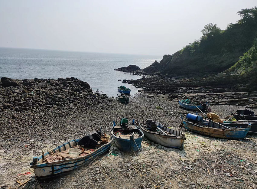 夏游山全部视频,夏天去灵山岛好吗