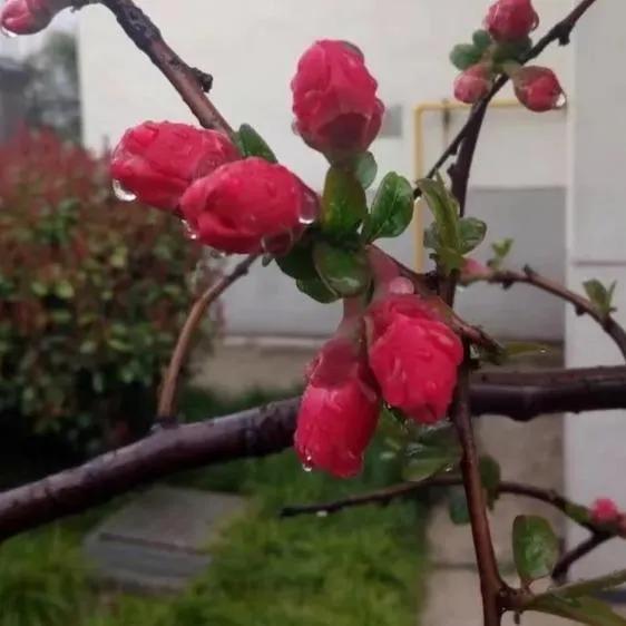 春天风景诗原创,与春天约会的诗歌原创