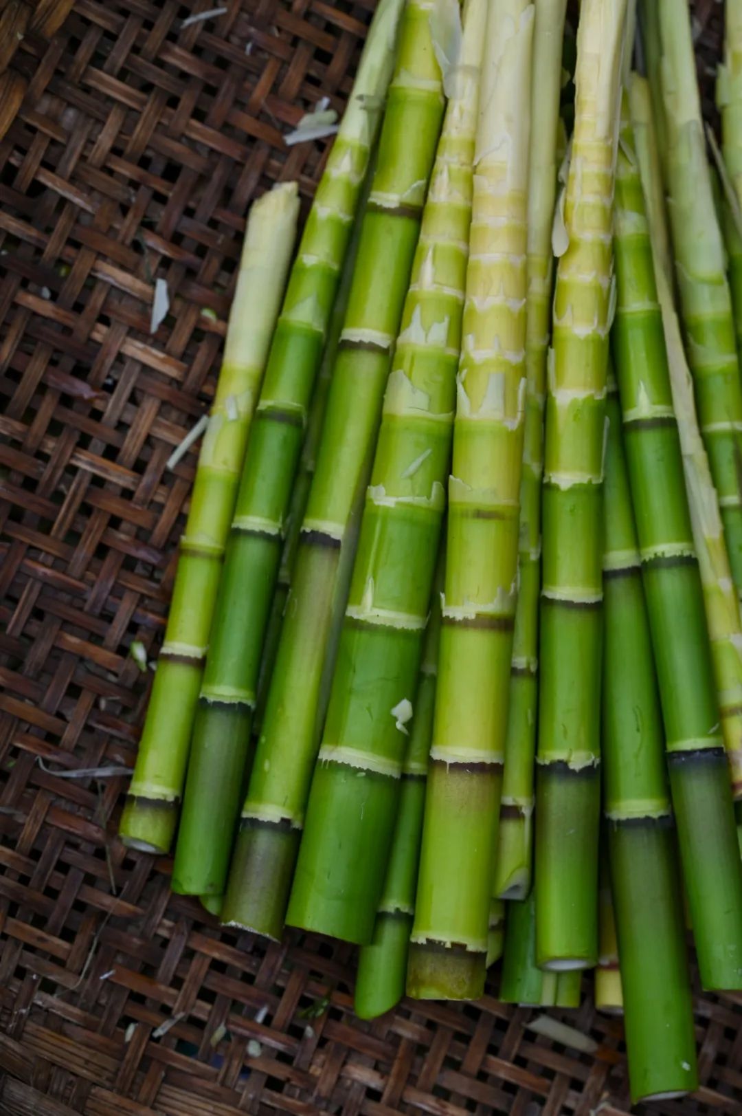 夜幕降临绵竹一座有温度的城市,绵竹是一个美丽的城市