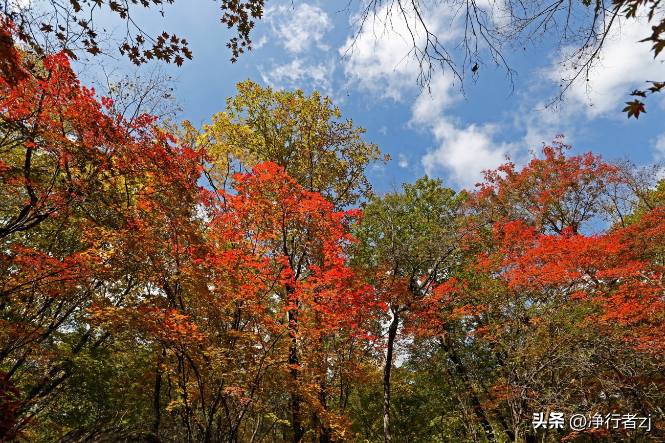 图们江口岸游记,从图们市到牡丹江自驾游