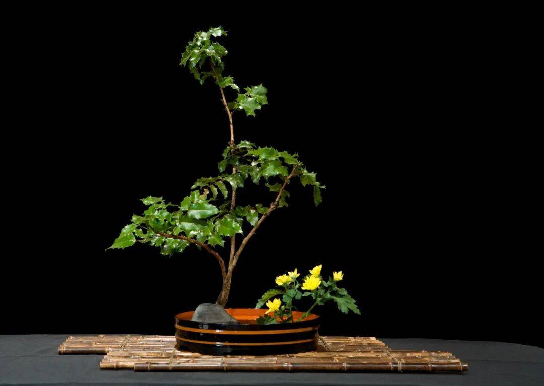 日式插花技法,日式插花的特色及技巧