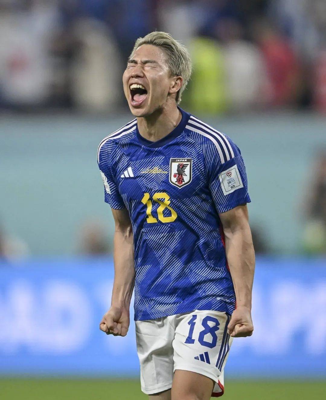 日本足球世界最高排名多少,日本足球成就