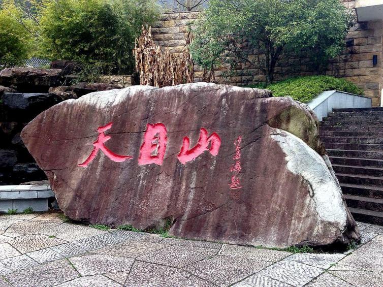 上海周边夏季旅游避暑好去处自驾,夏天上海周边旅游推荐自驾游