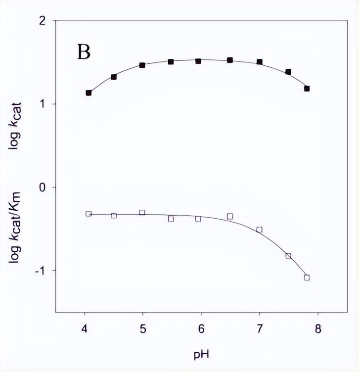 探究砷（III）物质在体外抑制氧化蛋白折叠应用