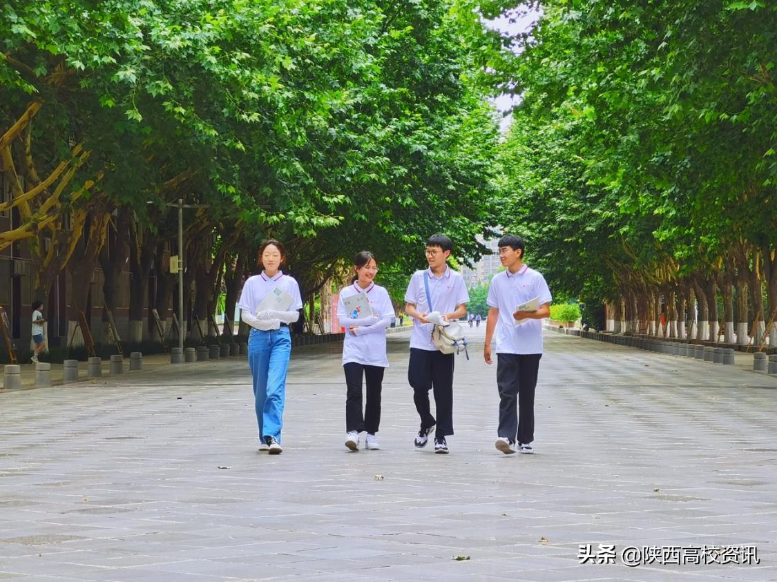 我承认我酸了,我承认我酸了合集