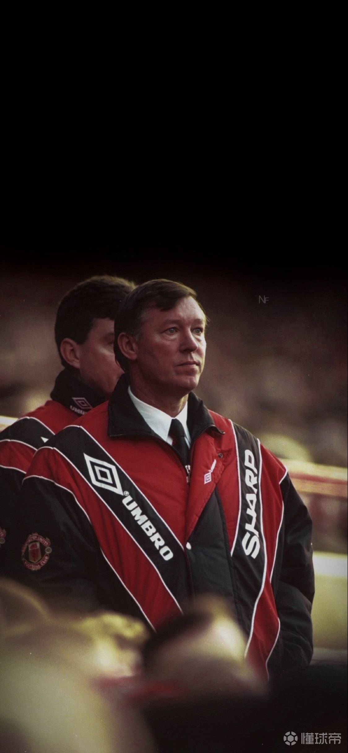 第28章求婚小说,小说第二十八章求婚