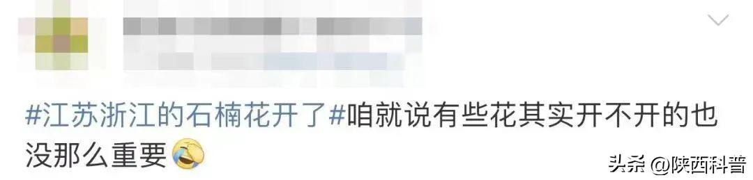 科技之春|“又腥又臭”上热搜！网友：左右“为楠”……专家：其他优点突出，忍耐一下