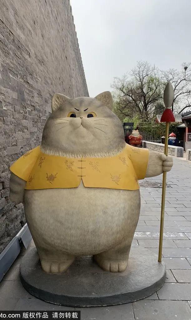 北京故宫的猫为什么叫御猫,故宫最萌的猫是什么猫