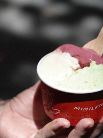 自由天花板冰淇淋,进口冰淇淋天花板