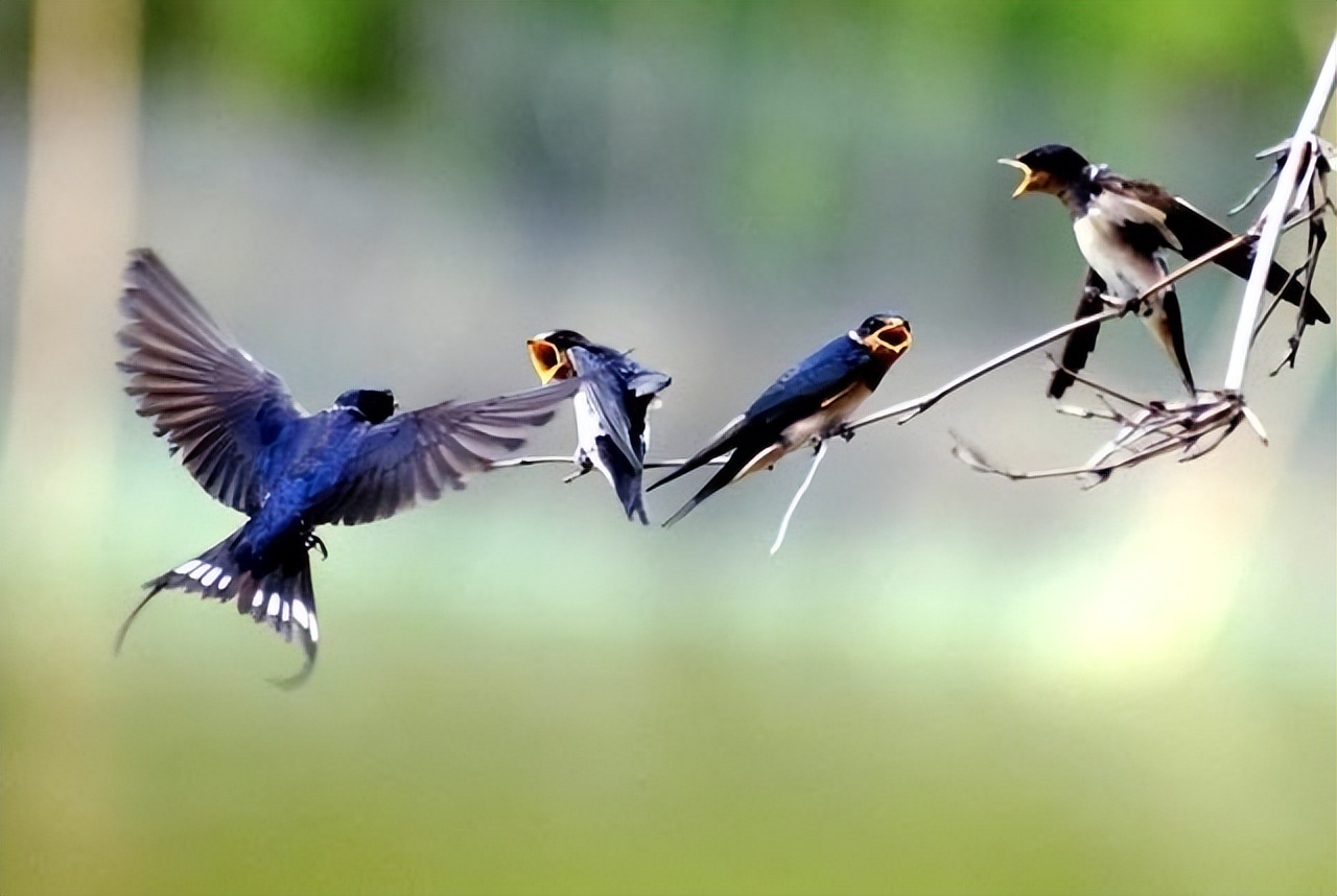 滴答传奇完整版,滴答传奇合集