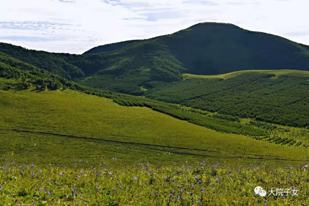 一兵丨我看坝上草原