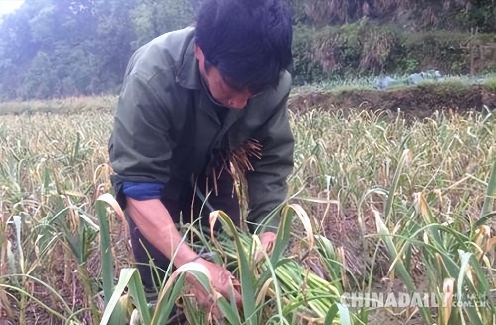上饶各地土特产上饶可以带走的特产