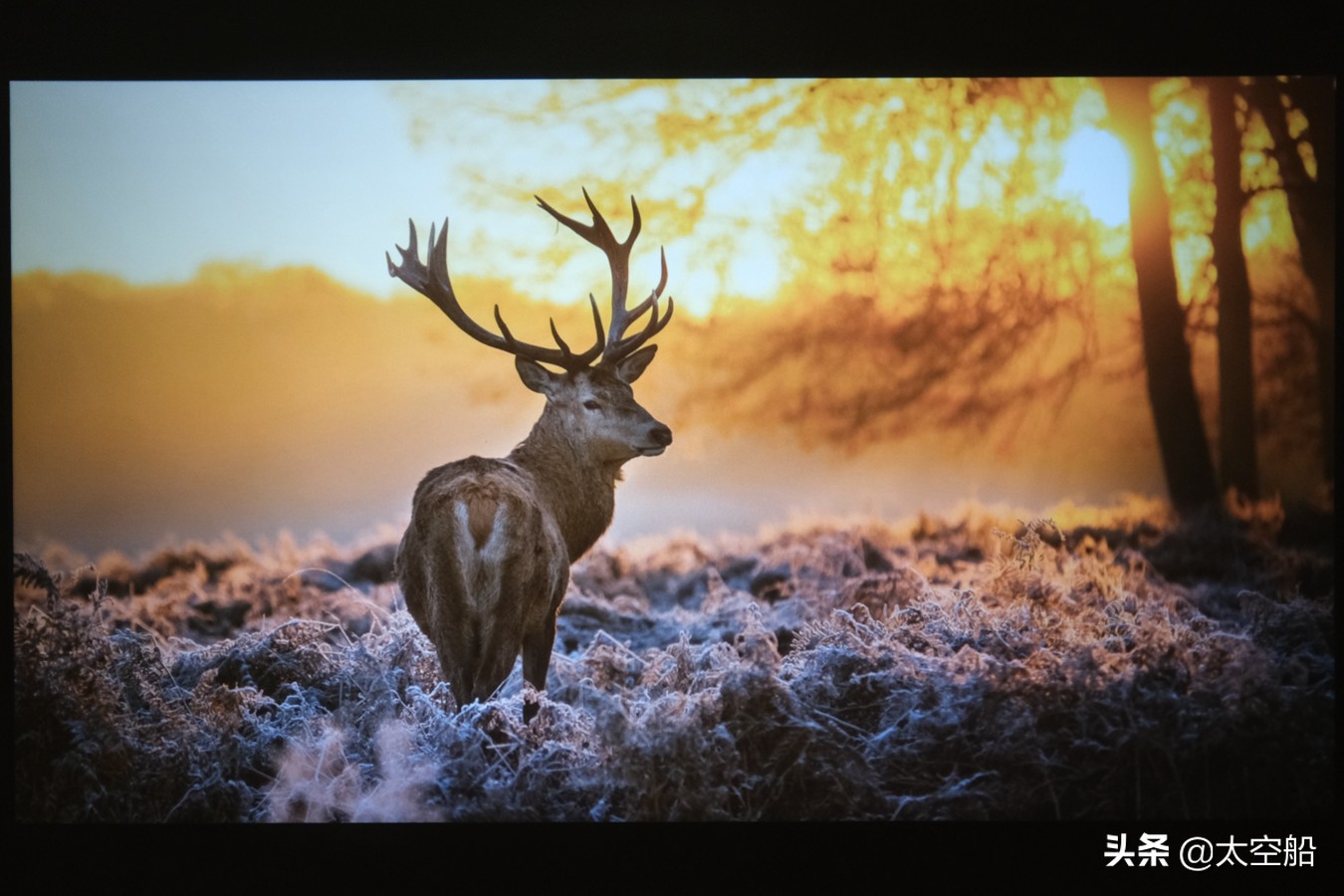 泰捷weboxt1投影仪评测视频,泰捷weboxt1参数