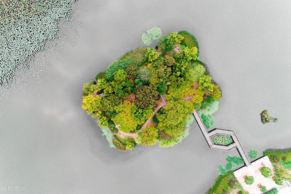 合肥最美公园在哪个区,合肥有哪些公园值得一去