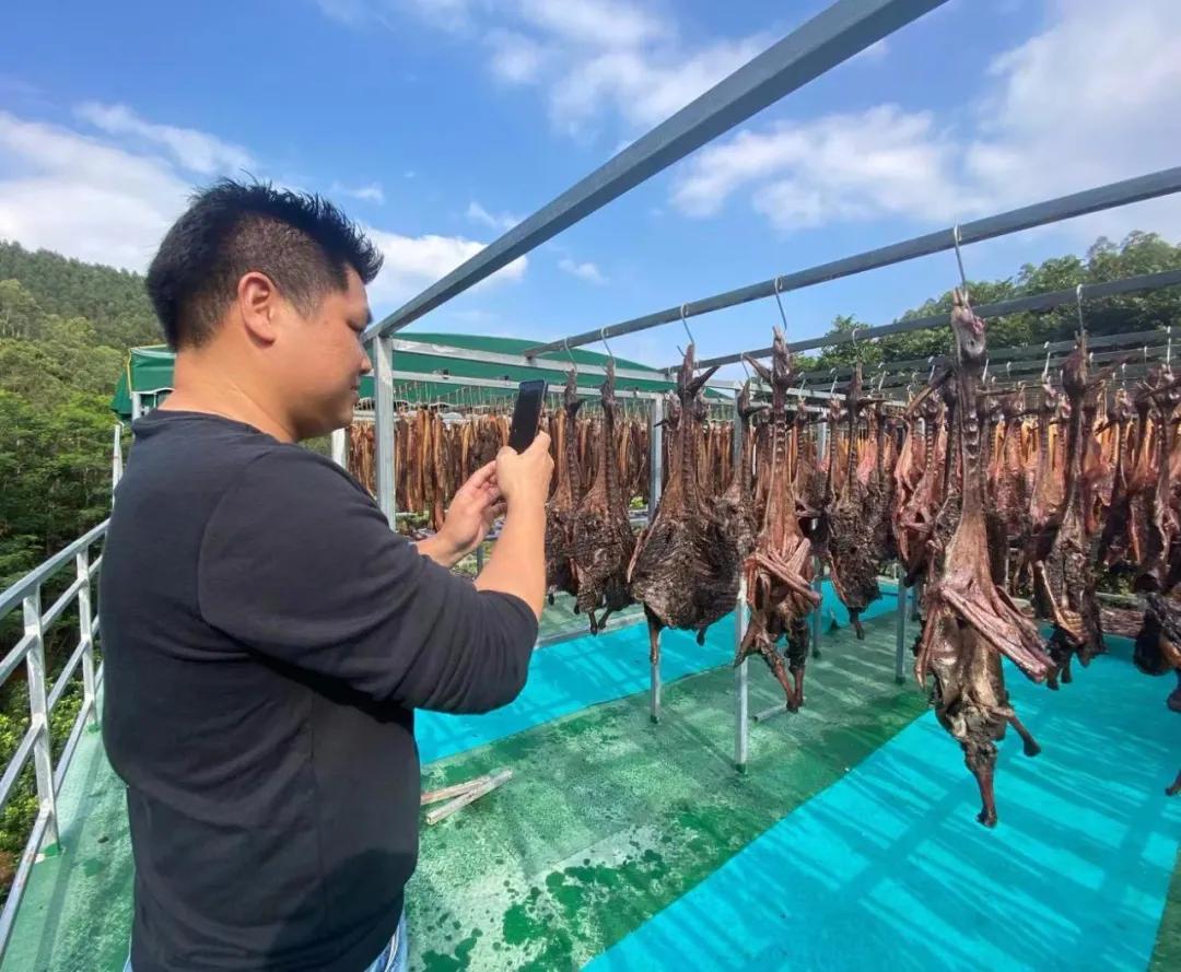 鑼堕鑵婂懗鎷肩洏,鑼堕鑵婂懗鍋氭硶