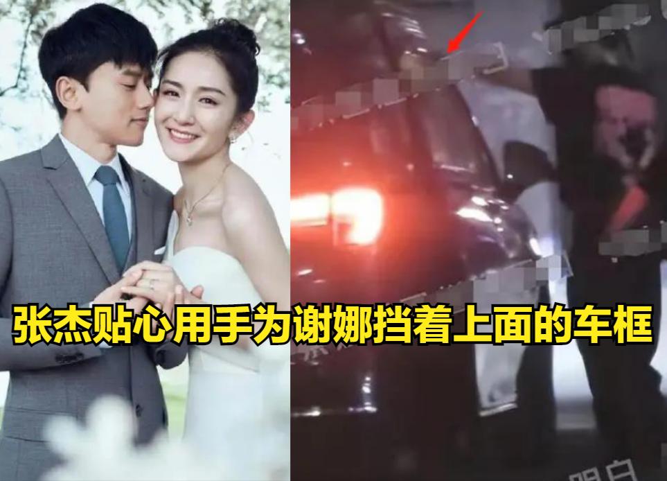 张杰谢娜近期情况,张杰陪谢娜现身