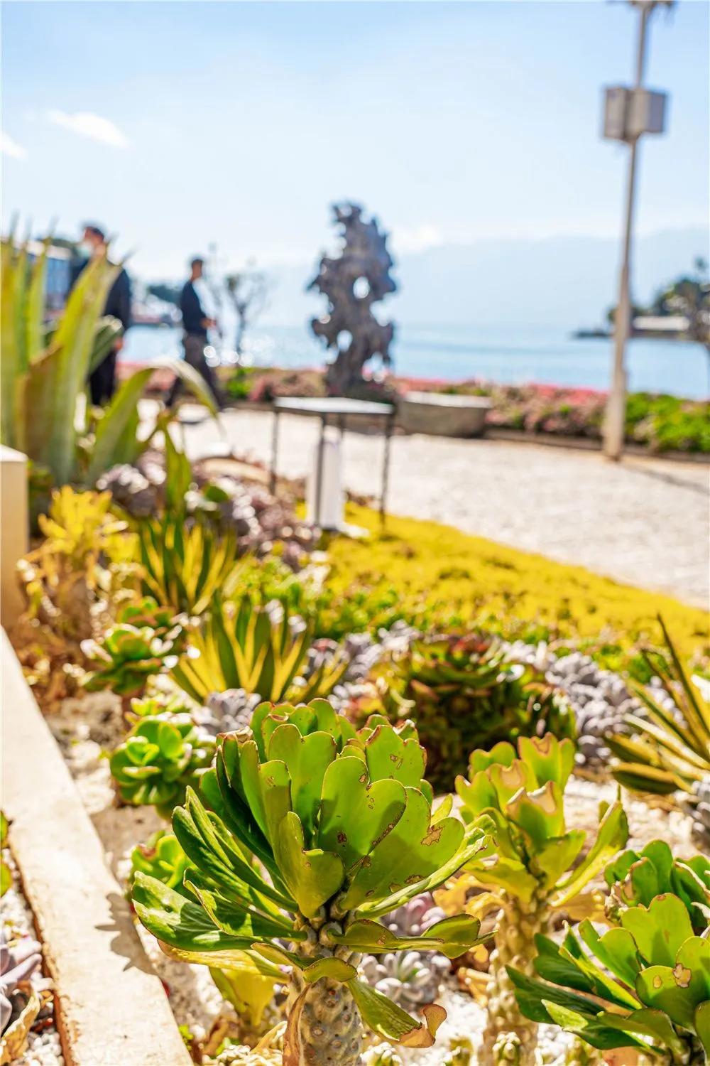 带你去双廊,住在浪漫的双廊洱海边看风景