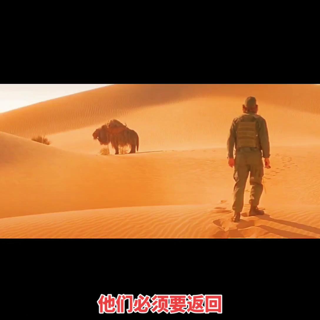 2023最新电影,2023最新电影下载