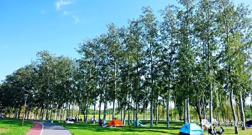 捞小河里的小蝌蚪,上海抓小蝌蚪的公园