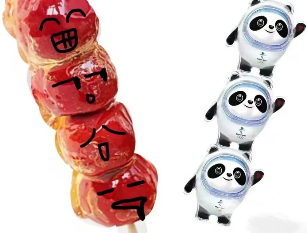 中国冰壶代表队,冰壶中国队赢得开门红