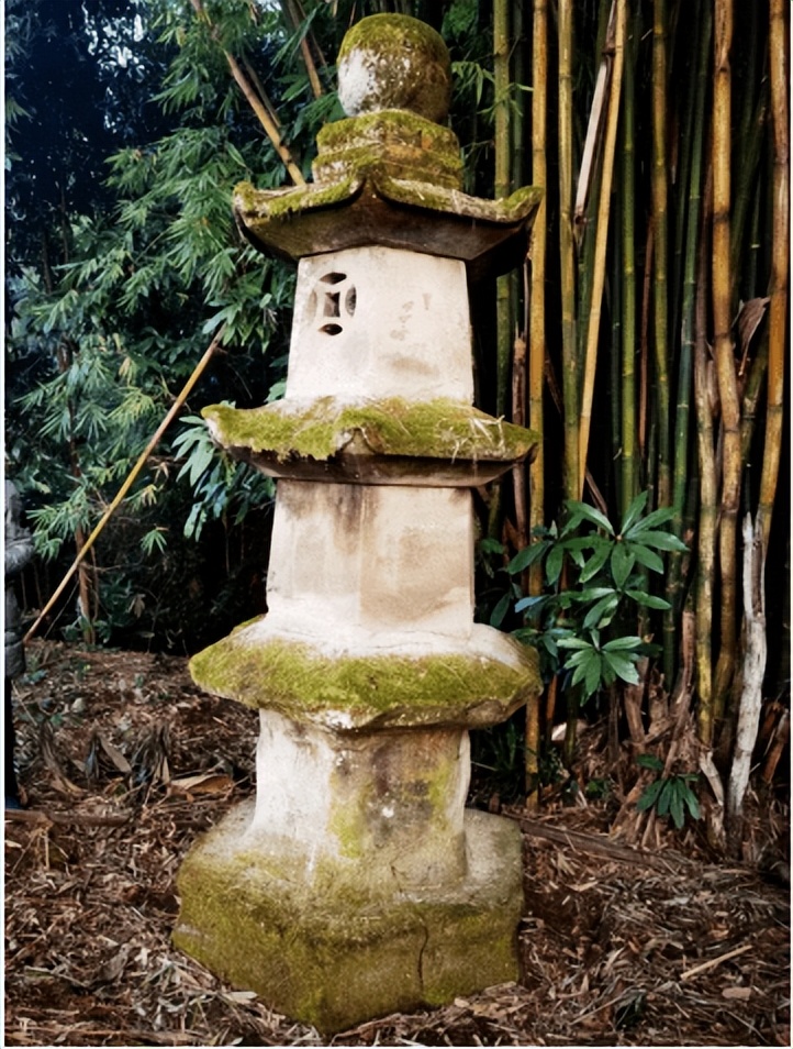 营山县任颖辉,营山任颖辉