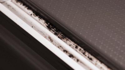 冰箱品牌排行榜2023前十名,冰箱十大品牌2023排行榜最新