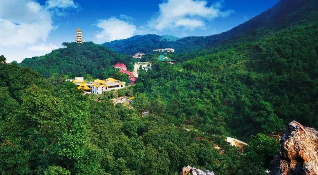 广东肇庆羚羊峡攻略,肇庆羚羊峡游记