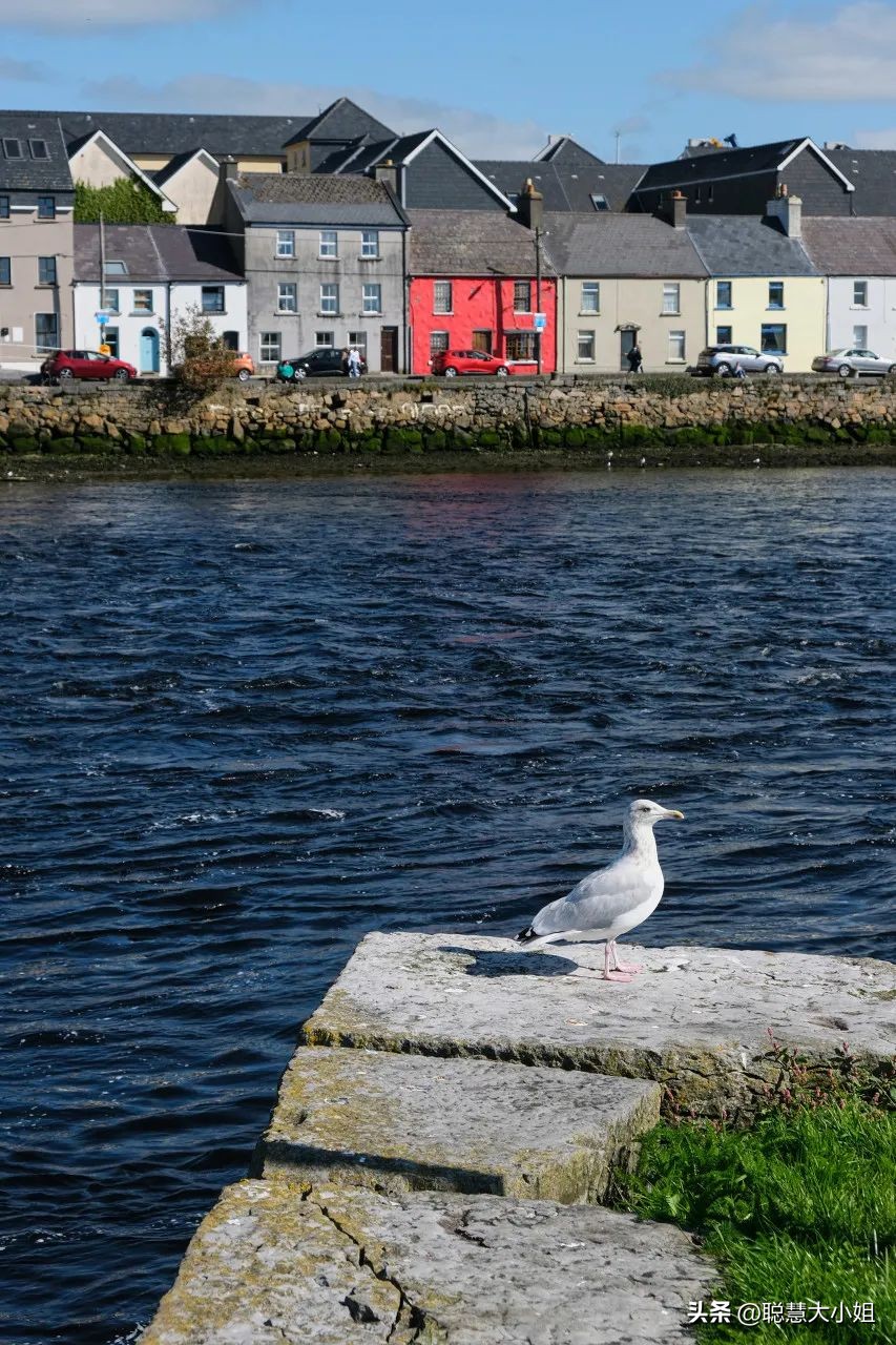 最绿的国家,最绿国家