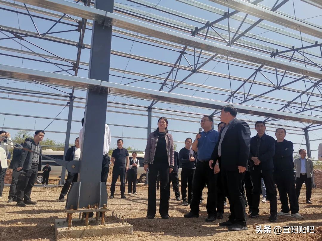 宜阳县高村镇乡村振兴,宜阳县美丽乡村建设考察团