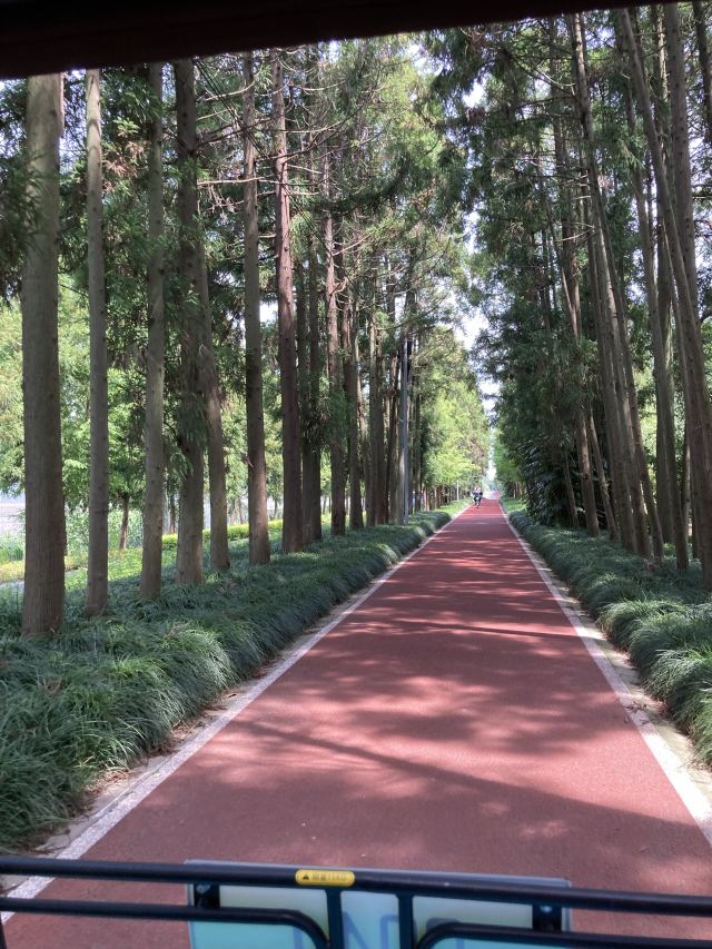 上海十一好玩的地方推荐,上海周末好玩的地方推荐免费