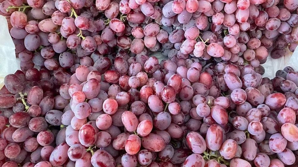 水果店怎么做线上销售,如何开一家线上水果店