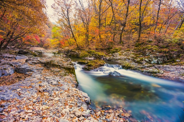 建筑师修不了床腿，发挥优势，打破常规。