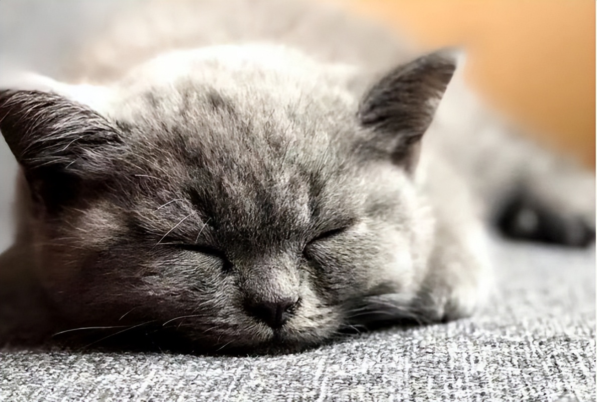 深入的拆解一个行业——保健品