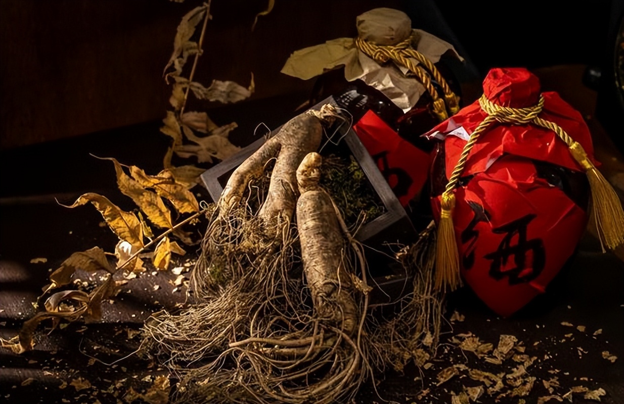 雪上一枝蒿可以祛风散寒吗,雪上一枝蒿治风湿