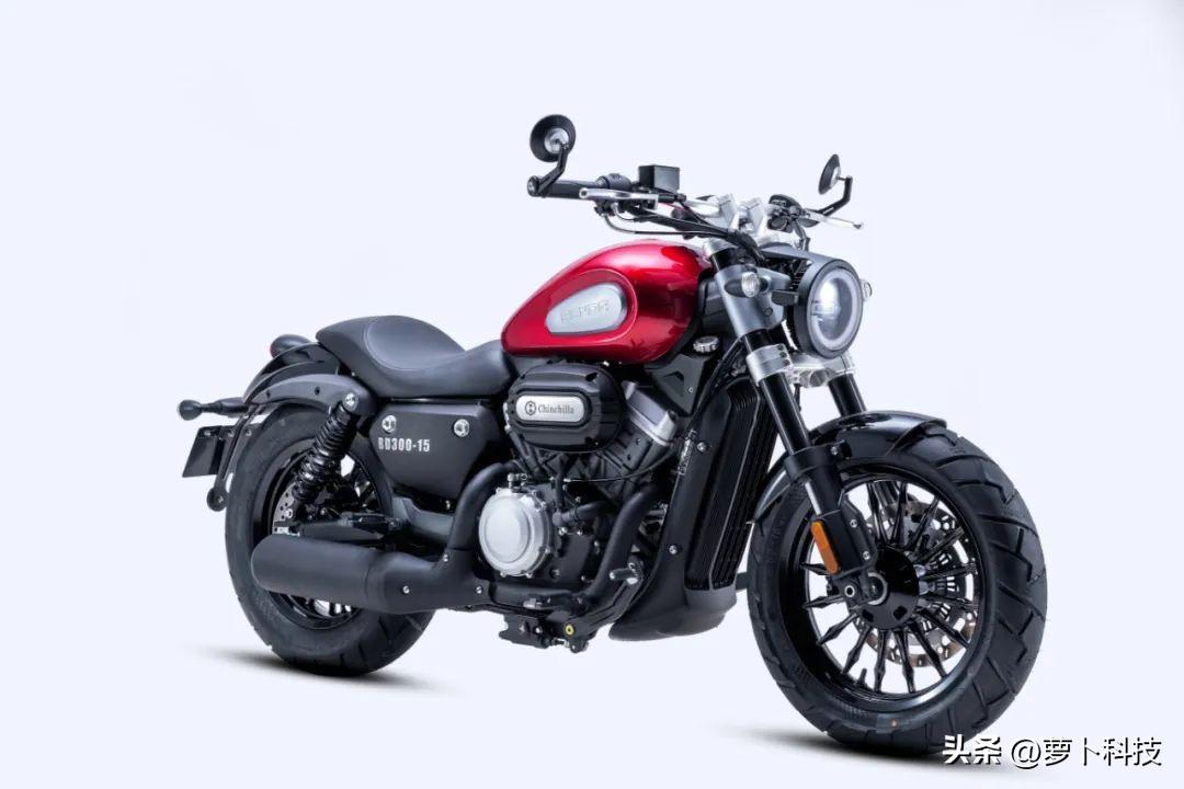 金吉拉300tcs版全款,金吉拉300新款老款区别大吗