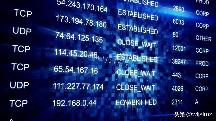 网络技术冷知识,网络最新技术术语