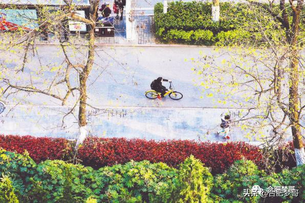 合肥市区老房子值得买吗,合肥市区老房子还有价值吗