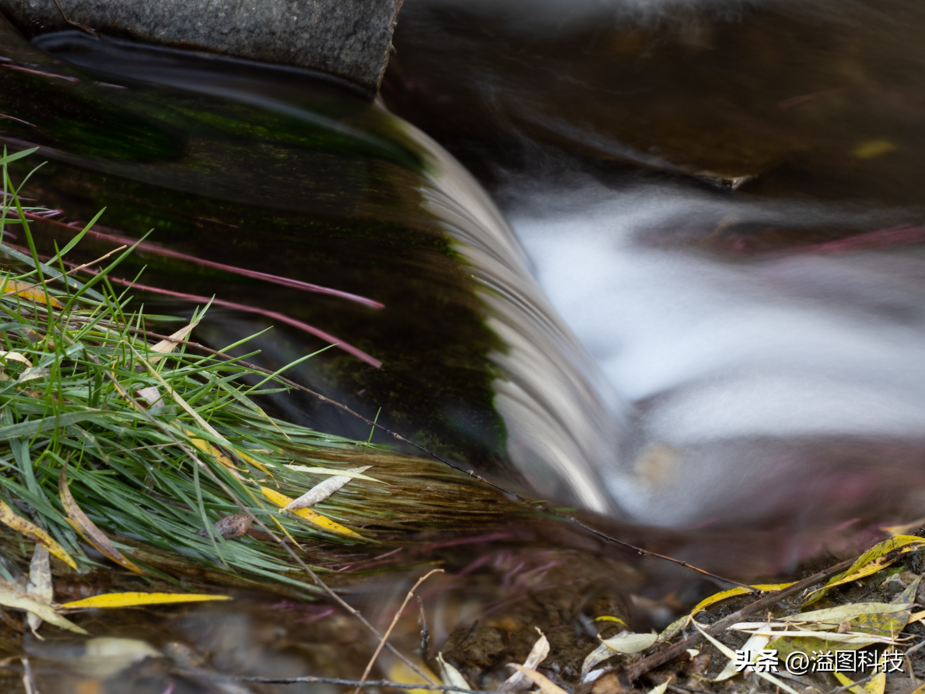 推介一款干活用的微单,新出的入门微单