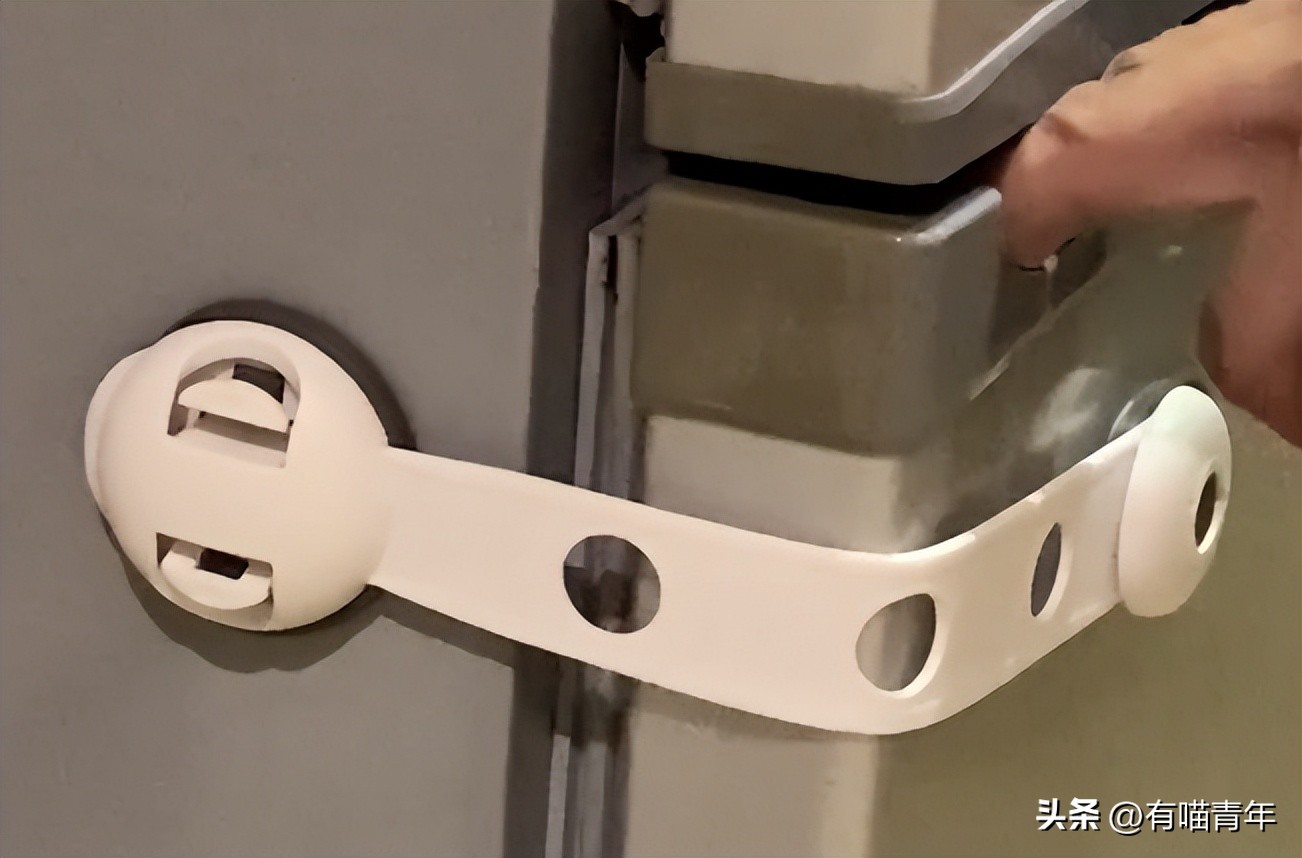 100件养猫好物,十元左右养猫好物分享