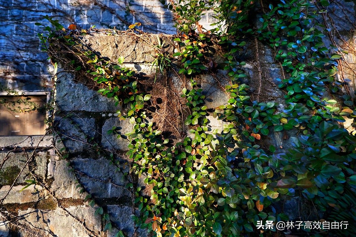 福州有哪些特色玩的,福州市区游玩攻略