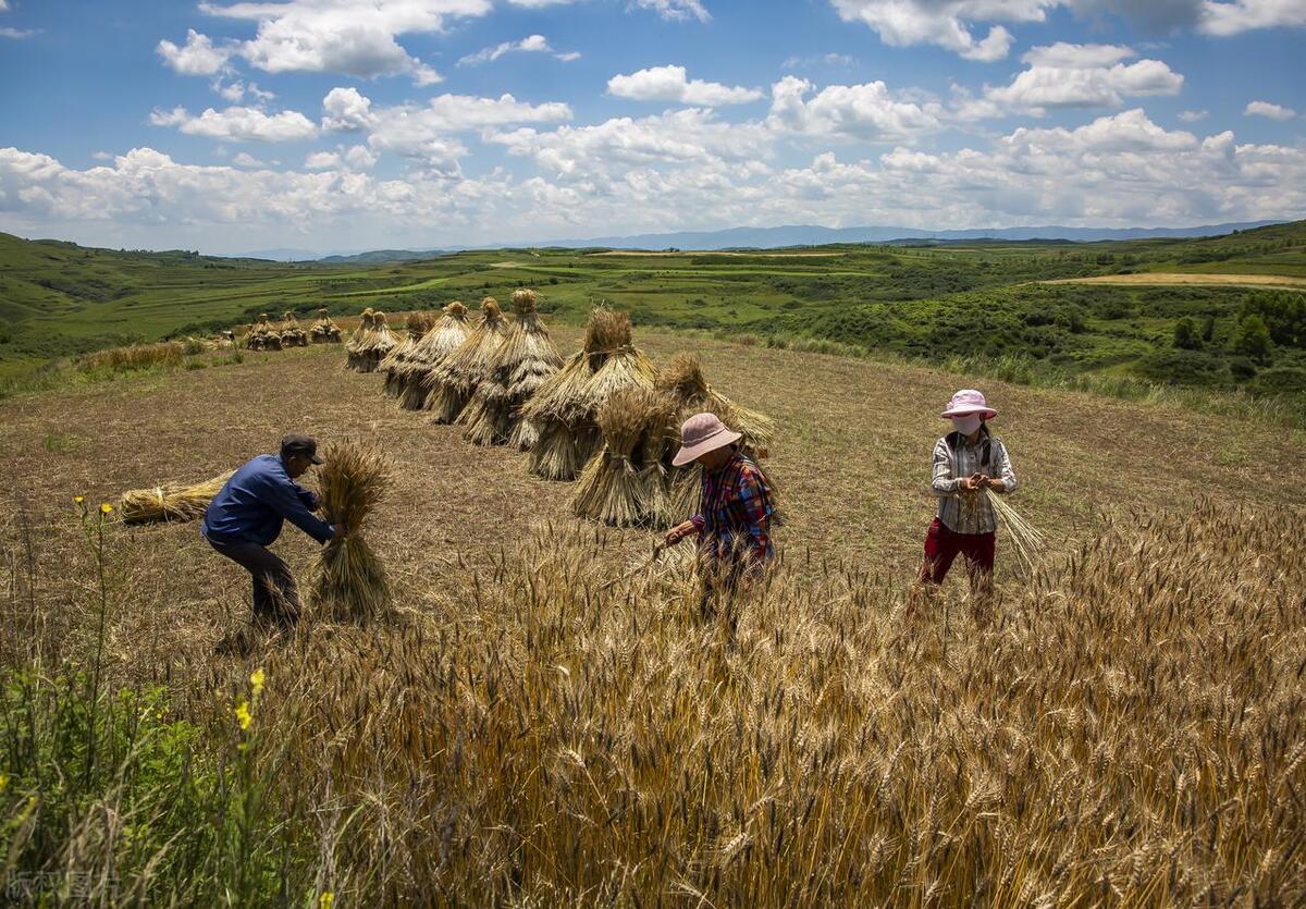 农村返乡潮越来越严重,2020农民工返乡热潮的出现