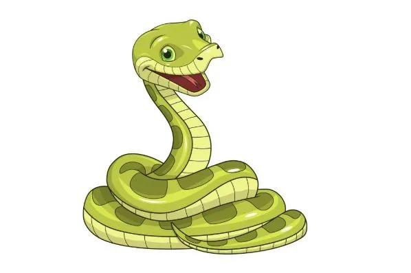 蛇的身体还有四条腿,蛇的脊椎结构