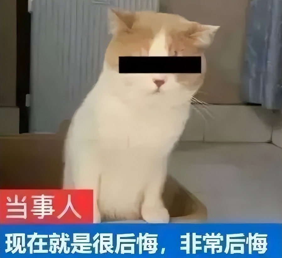 组织驾照作弊5人被判刑,组织考试作弊案27名被告人被判刑