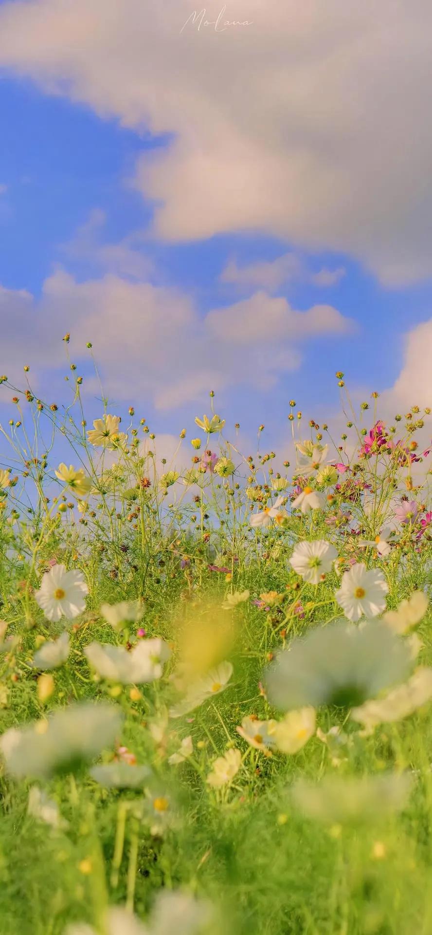超高清海洋沙滩风景壁纸全屏,湛蓝的海水海滩风景高清壁纸