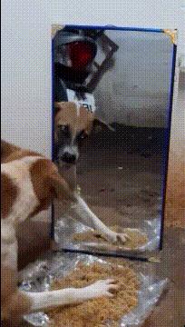 “姑娘，你知道衣服上的字是什么意思吗？”哈哈哈自信的姑娘最美