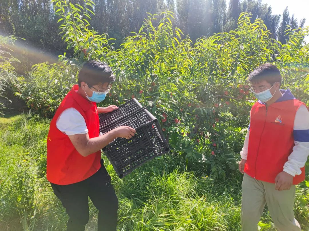 闇嶅皵鏋滄柉甯備紛杞﹀槑鍠勯敗浼埂,闇嶅皵鏋滄柉甯備紛杞﹀槑鍠勯敗浼皯鏃忎埂